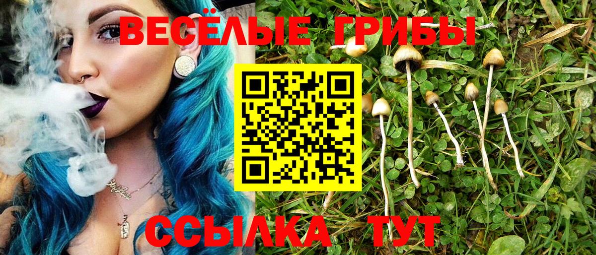 Галлюциногенные грибы Psilocybine cubensis Прохладный